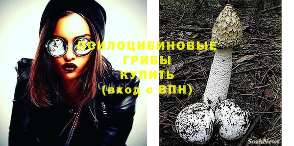 индика Алексеевка
