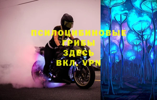 спайс Алзамай